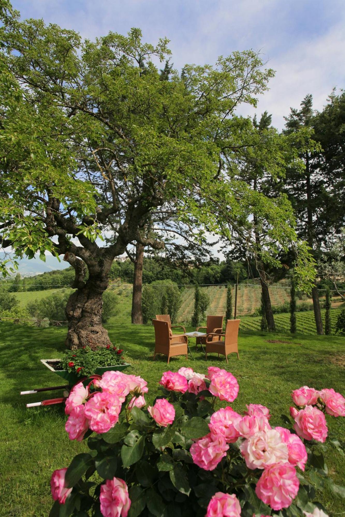 La Tenuta Dei Ricordi Castel Ritaldi Bagian luar foto